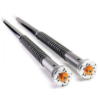 Cartuchos de Horquilla para Triumph Trident 660 (2021 en adelante)