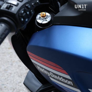 Cartuchos de horquilla