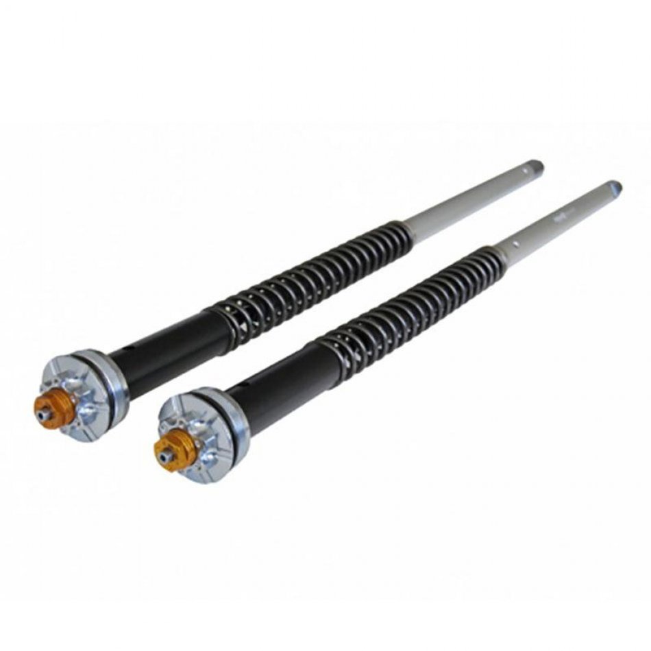 Ducati Scrambler cartucho ajustable (>2015)