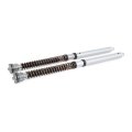 Cartucho de horquilla Öhlins NIX 30 Aprilia RS 660 (2021-2025)