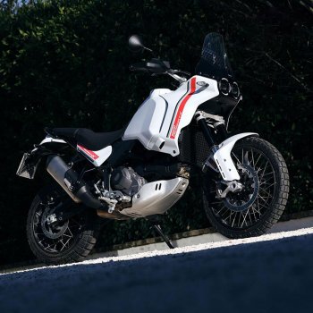 Par de paneles laterales Ducati DesertX Star White Silk + adhesivos