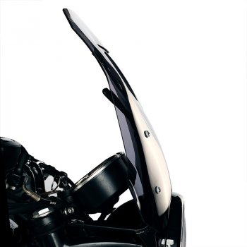 Parabrisas con soporte GPS Bonneville T100 (2017 en adelante)