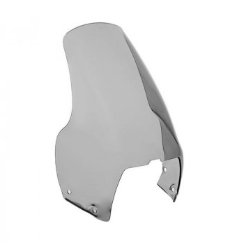 Cúpula estándar R1100 GS (1994-1999)