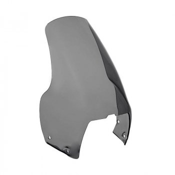 Cúpula estándar R1100 GS (1994-1999)