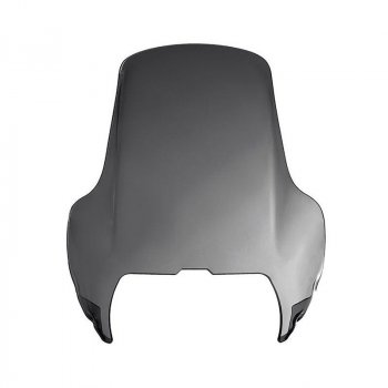 Cúpula estándar R1100 GS (1994-1999)