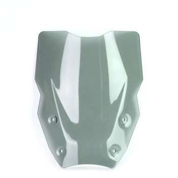 Pantalla XL con Radar BMW R1300GS (2023 en adelante)