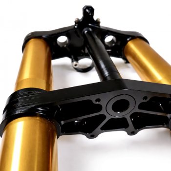 Horquilla Ténéré 700 RXF 48 completa con placas