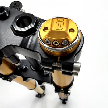 Horquilla Ténéré 700 RXF 48 completa con placas