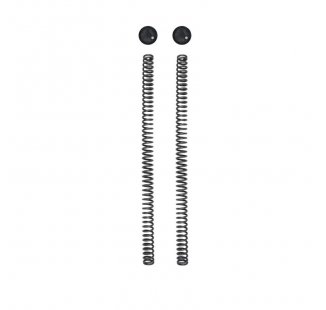 Kit Öhlins de 2 tapas y 2 muelles de horquilla Royal Enfield Himalayan 450 (2024).