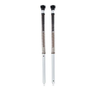 Cartucho Ohlins NIX30A Scrambler 1200 XC