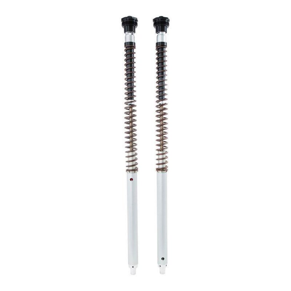 Cartucho Ohlins NIX30A Scrambler 1200 XC