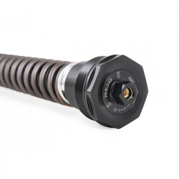 Cartucho Ohlins NIX30S